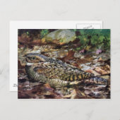 ホイッポーウィル ポストカード (正面/裏面)