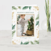 ホイフェイクルパイン針写真シーズンのご挨拶 シーズンカード (正面)