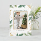 ホイフェイクルパイン針写真シーズンのご挨拶 シーズンカード (スタンド正面)