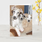 ホイペットの子犬のノテカード カード (黄色い花)