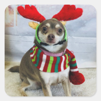 ホイホリデーフェイル スクエアシール