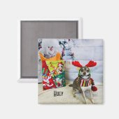 ホイークリスマスの衣装マグネット マグネット (正面/裏面)