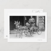 ホイールで奇妙なそりに引かれる訓練を受けた鹿 ポストカード (正面/裏面)