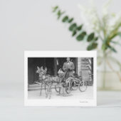 ホイールで奇妙なそりに引かれる訓練を受けた鹿 ポストカード (スタンド正面)