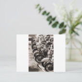 ホイール ポストカード (スタンド正面)