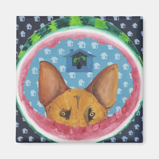 ホイー磁石 マグネット