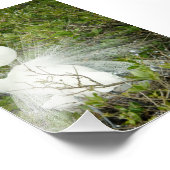 ホイ素晴らしトヘロンのポーズ写真 フォトプリント (角)