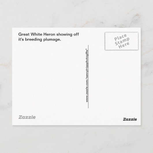 ホイ素晴らしトヘロンのポーズ写真 ポストカード (裏面)