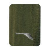 ホイ素晴らしトヘロン可撓性光磁石 マグネット (縦)