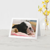 ホウィースリープ カード (黄色い花)