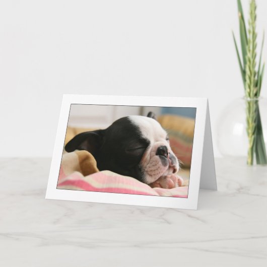 ホウィースリープ カード (正面)