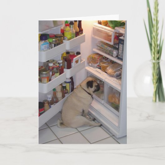 ホウィーペプパンツ カード (正面)