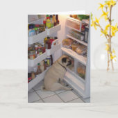 ホウィーペプパンツ カード (黄色い花)