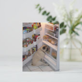 ホウィーペプパンツ ポストカード (スタンド正面)