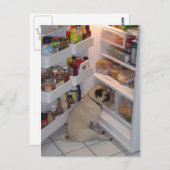 ホウィーペプパンツ ポストカード (正面/裏面)