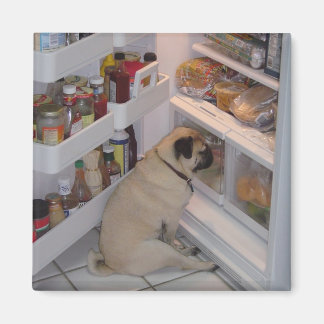 ホウィーペプパンツ マグネット