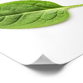 ホウレンオーガニックチ葉継ぎ目パターン ポスター (角)