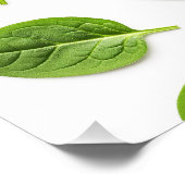 ホウレンオーガニックチ葉継ぎ目パターン ポスター (コーナー)