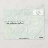 ホウレンソウ葉 ポストカード (裏面)