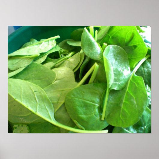 ホウレンソウ ポスター (正面)