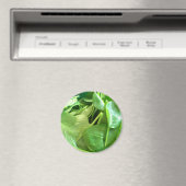 ホウレンソウ マグネット (インサイチュ (食洗機))