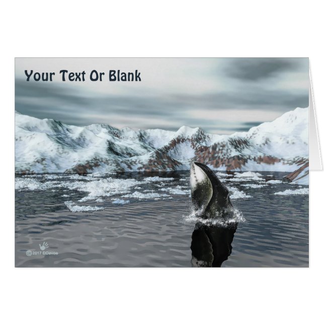 ホエクジラ (正面横)