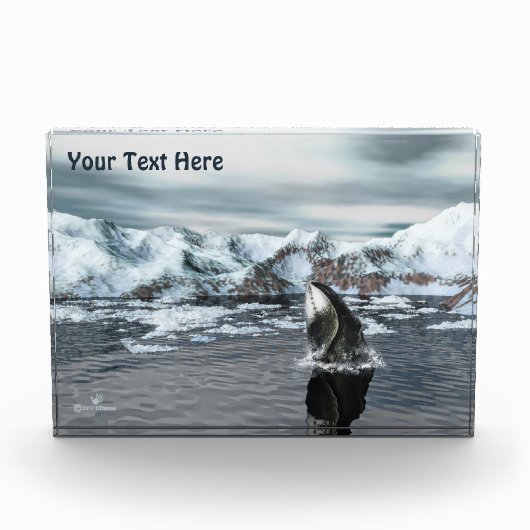 ホエクジラ フォトブロック (正面)