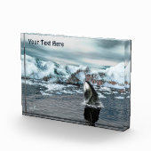 ホエクジラ フォトブロック (右)