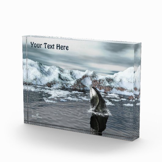 ホエクジラ フォトブロック (右)