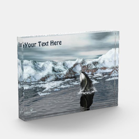 ホエクジラ フォトブロック (左)