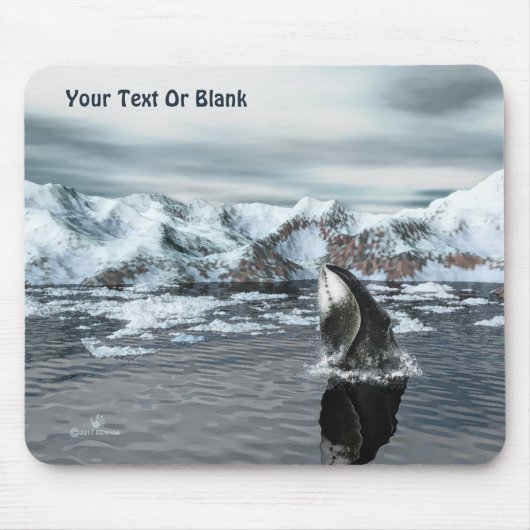 ホエクジラ マウスパッド (正面)