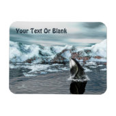 ホエクジラ マグネット (横)