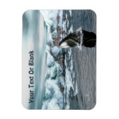 ホエクジラ マグネット (縦)