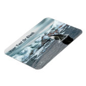 ホエクジラ マグネット (左側)