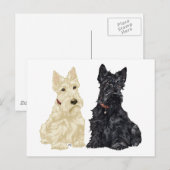 ホエテンとブラックスコティッシュテリア ポストカード (正面/裏面)