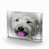 ホエテン・テリア・ドッグだ。 フォトブロック (右)