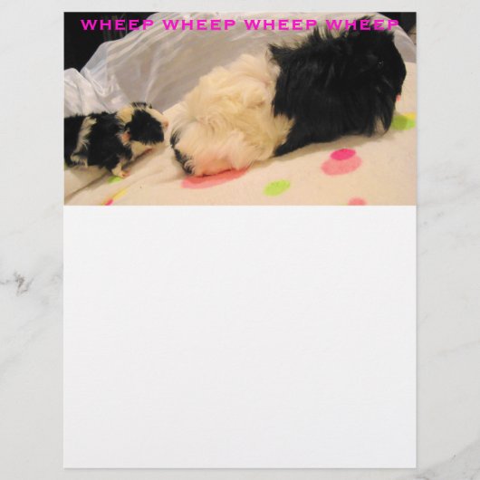 ホエピンのレターヘッド (正面)