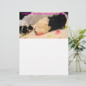 ホエピンのレターヘッド (スタンド正面)