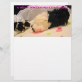 ホエピンのレターヘッド (正面/裏面)