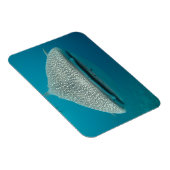 ホエートシャークフロントViEw マグネット (右側)