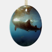 ホエールシャーク食べ物を与えズ セラミックオーナメント (右)