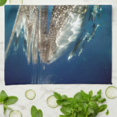 ホエールシャーク・オスロブフィリピン キッチンタオル (折り畳み)