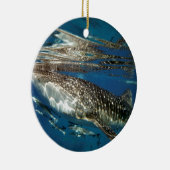 ホエールシャーク・オスロブフィリピン セラミックオーナメント (右)