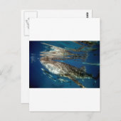 ホエールシャーク・オスロブフィリピン ポストカード (正面/裏面)