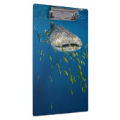 ホエールシャーク(魚と一緒),インドネシア クリップボード (右)