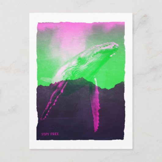 ホエールステイフリー ポストカード (正面)