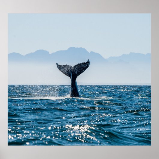 ホエールテールシースケープ：劇的な水。 ポスター (正面)