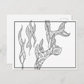 ホエールフルクス白黒はがき ポストカード (正面/裏面)