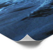 ホエールフルケ ポスター (角)