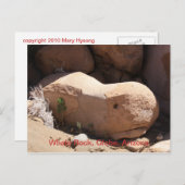 ホエールロック、グローブ、アリゾナ ポストカード (正面/裏面)